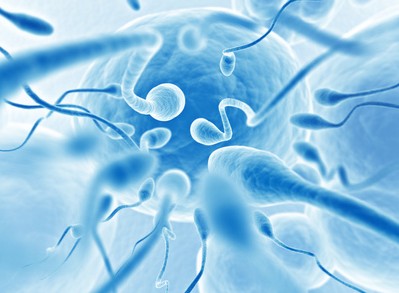 Spermienqualitt verbessern