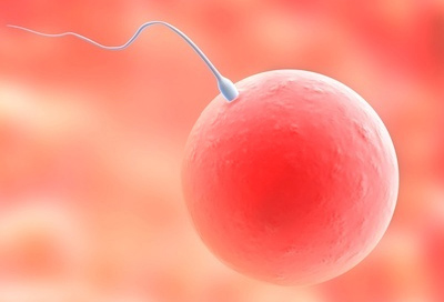 Was geschieht mit berzhligen Eizellen / Embryonen?