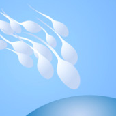 So lässt sich die Spermienqualität verbessern