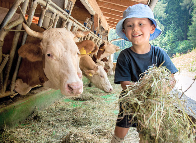 Kind auf dem Bauern mit Kühen und Stroh