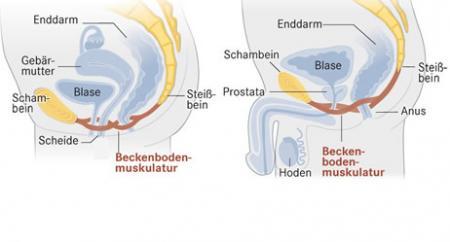 Bild zu 