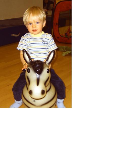 Bild zu 