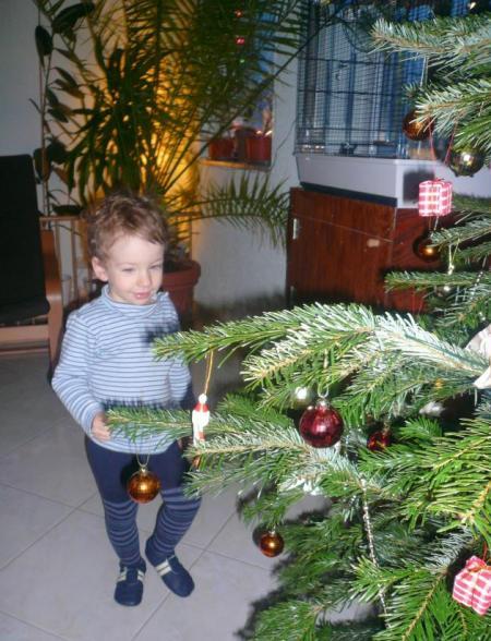 Bild zu