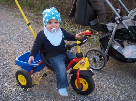 Bild zu 