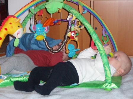 Bild zu