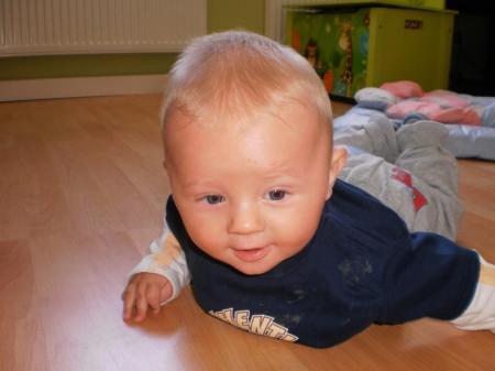 Bild zu