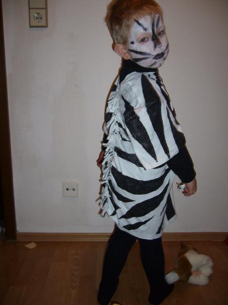 Bild zu 