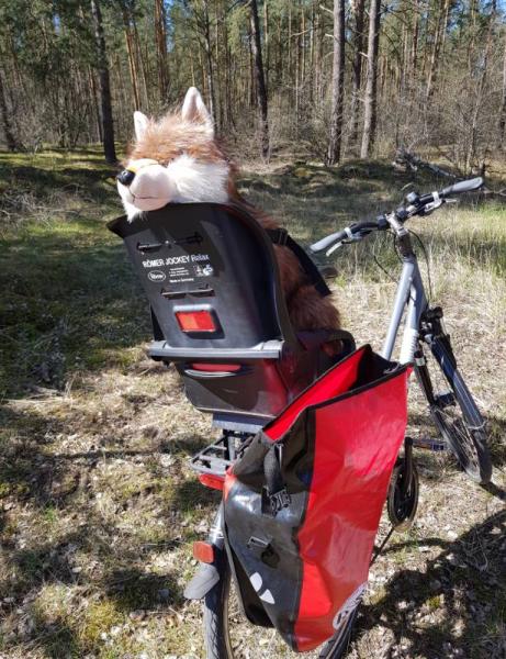 Bild zu