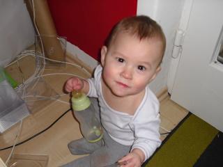 Bild zu