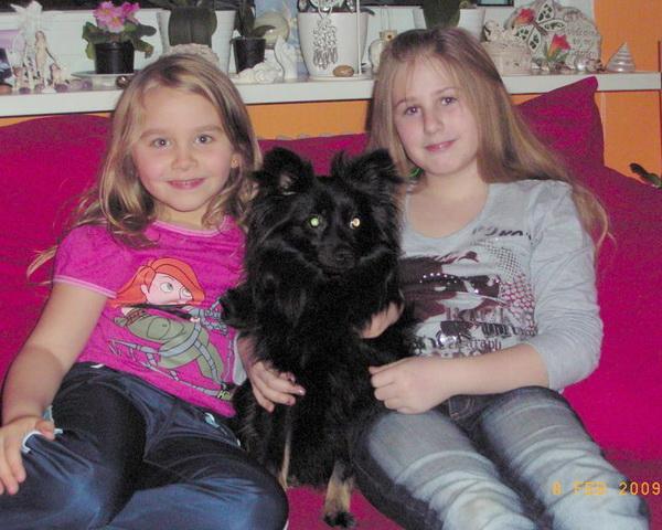 Bild zu