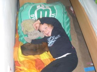 Bild zu