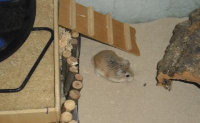 Bild zu Ich suche einen Namen - Vornamen fürs Baby - Tipps und Ideen