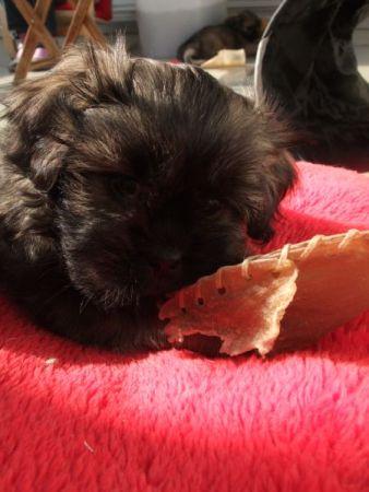 Bild zu Wieso ist das nur so schwer? ^^ - Vornamen fürs Baby - Tipps und Ideen