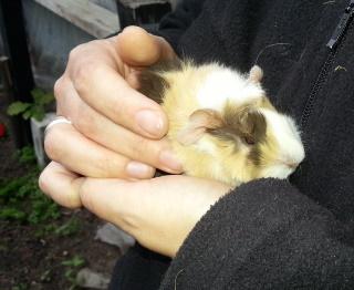 Bild zu Ich brauche Namen - Vornamen fürs Baby - Tipps und Ideen