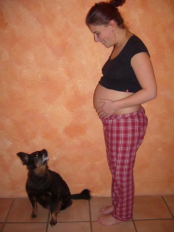 Bild zu It´s ab boy!!! - Schwanger - wer noch? Rund um die Schwangerschaft