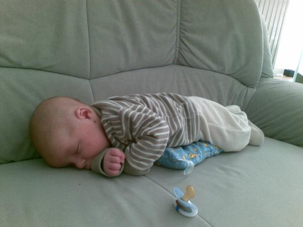 Bild zu
