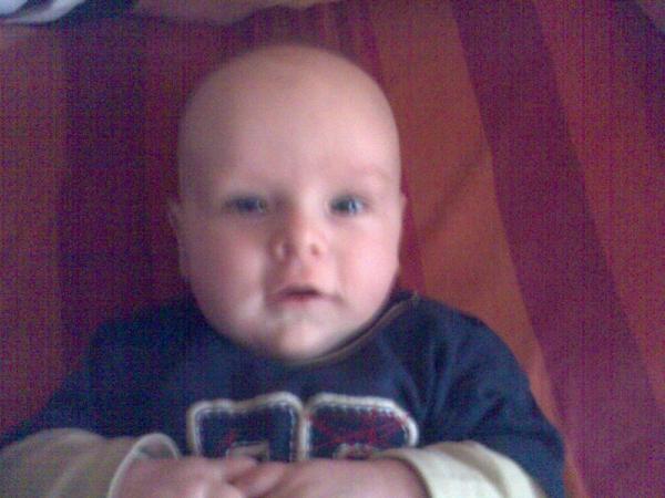 Bild zu