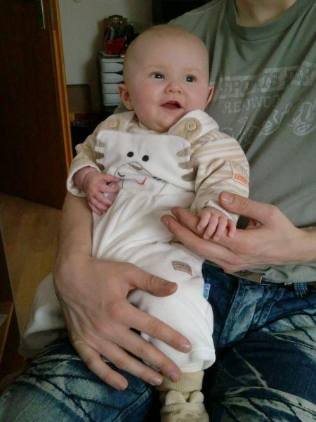 Bild zu 