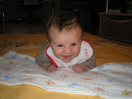 Bild zu