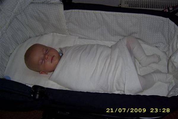 Bild zu