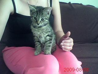 Bild zu