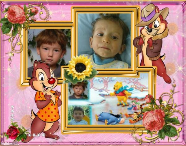 Bild zu