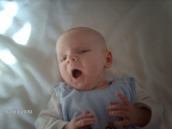 Bild zu 