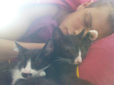 Bild zu 