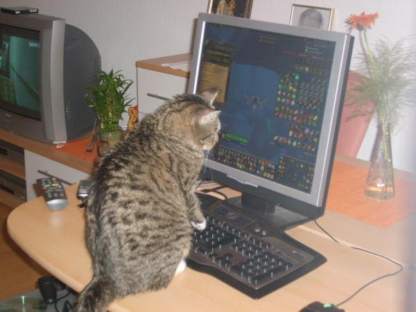 Bild zu 