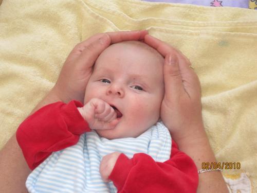Bild zu