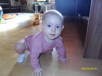 Bild zu