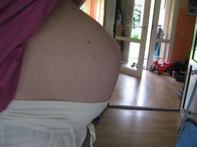 Bild zu 