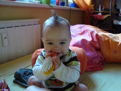 Bild zu 