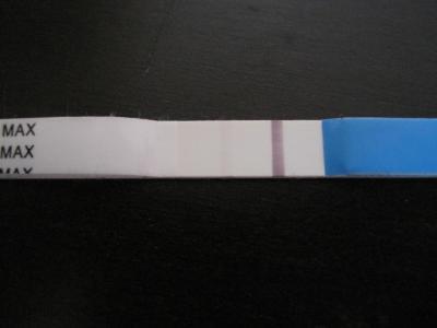 Bild zu Bei wem begann Schwangerschaft mit Blutungen? - Schwanger - wer noch? Rund um die Schwangerschaft