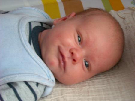 Bild zu 