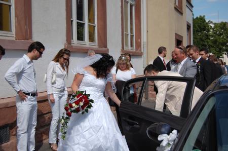 Bild zu