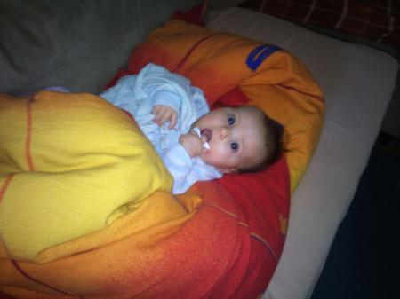 Bild zu
