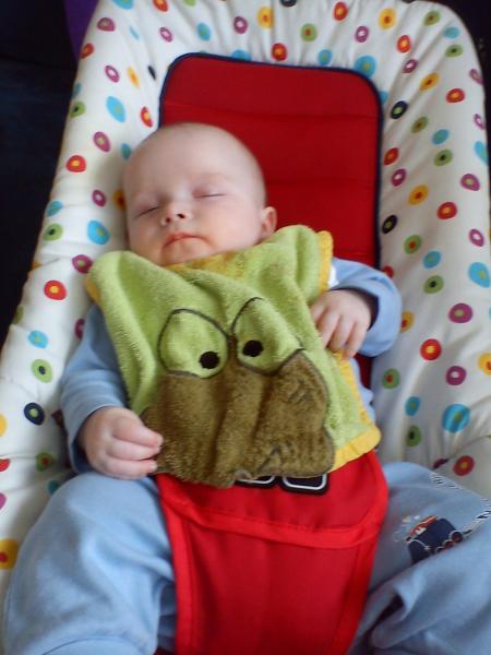 Bild zu