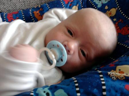 Bild zu