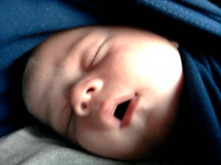 Bild zu 