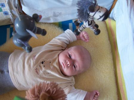 Bild zu 