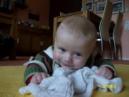 Bild zu