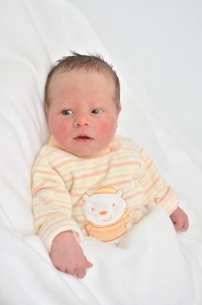 Bild zu Mein Amadei mit 1 Tag - Schwanger - wer noch? Rund um die Schwangerschaft