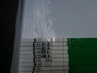 Bild zu Hmmmmm - Schwanger - wer noch? Rund um die Schwangerschaft