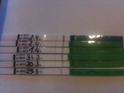 Bild zu Ich glaub's nicht!!!! - Schwanger - wer noch? Rund um die Schwangerschaft