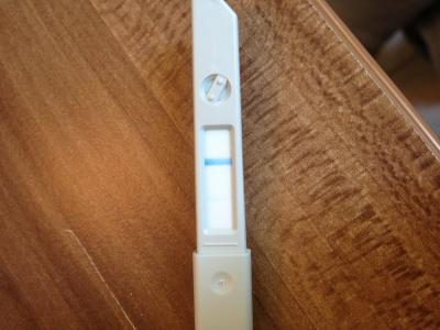 Bild zu Bitte einmal schauen, Tendenz wann Es?Clearblue - Schwanger - wer noch? Rund um die Schwangerschaft