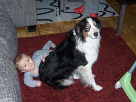 Bild zu