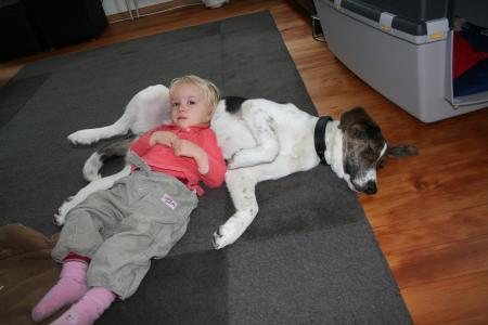 Bild zu