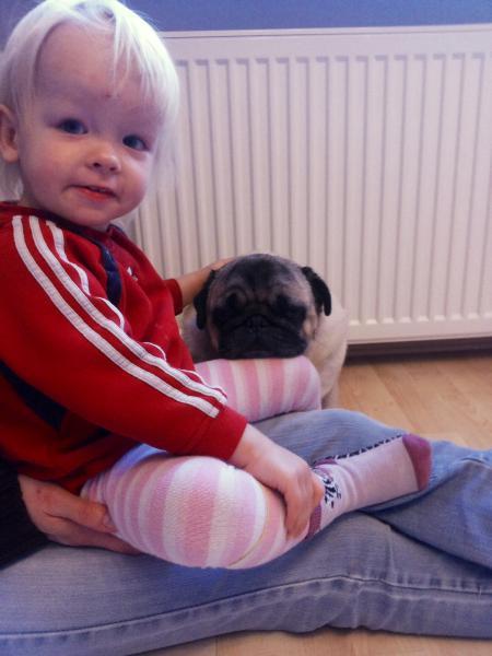 Bild zu