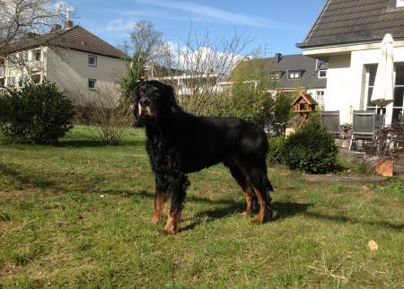 Bild zu